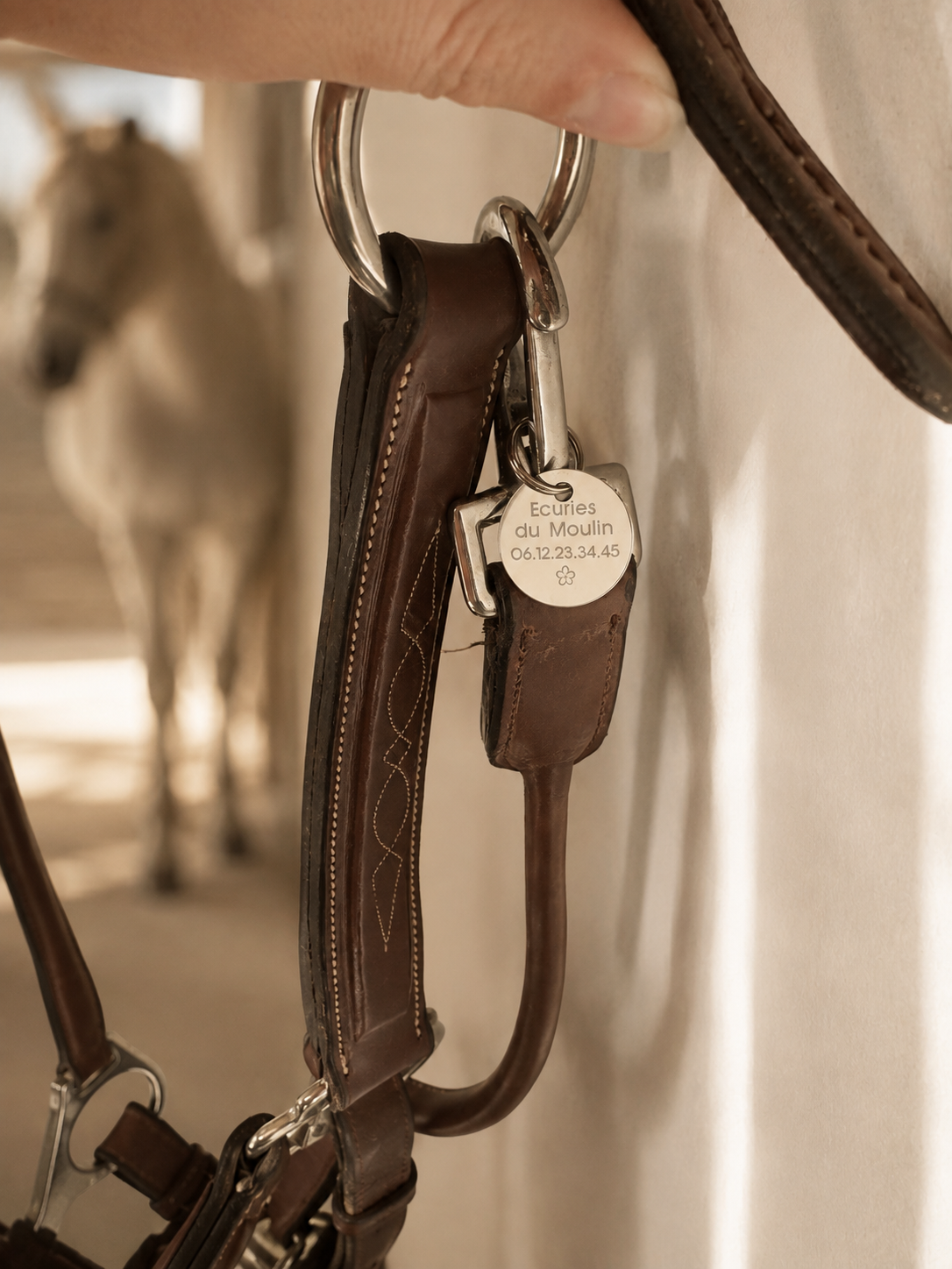 Médaille cheval Ronde Argent