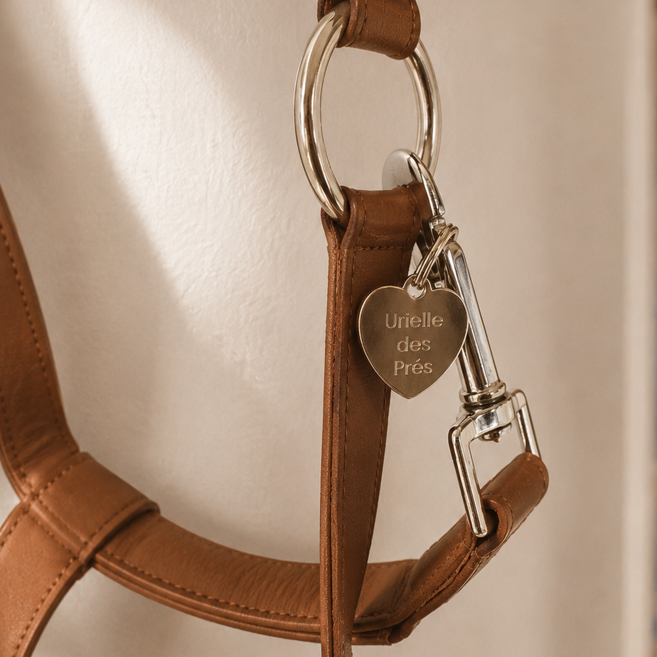 Médaille cheval Coeur Argent
