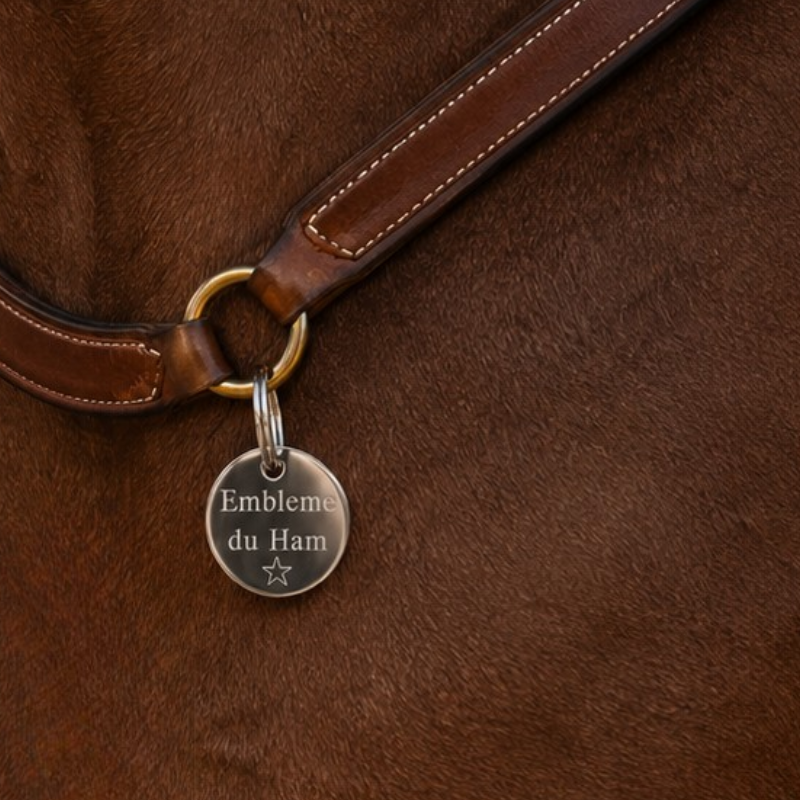 Médaille cheval Ronde Argent