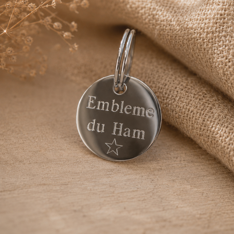 Médaille cheval Ronde Argent